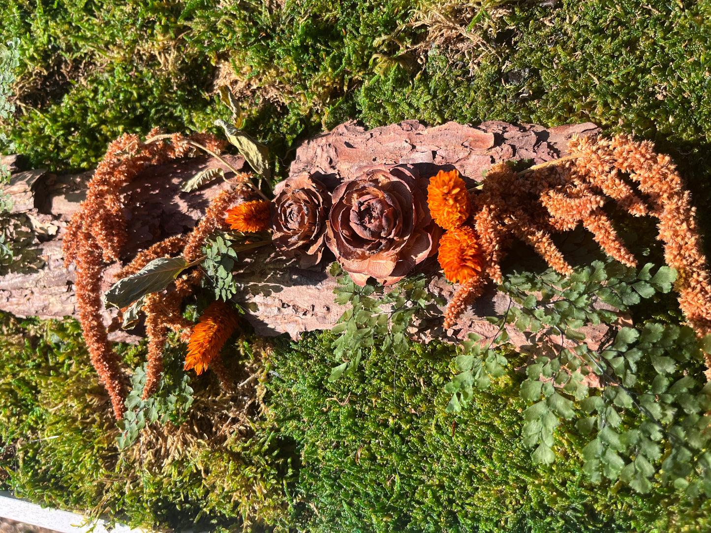 • Cadre végétal orange