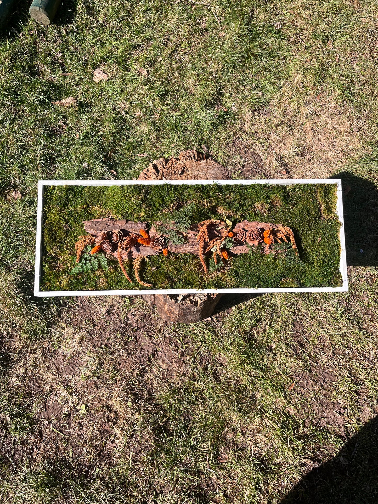 • Cadre végétal orange