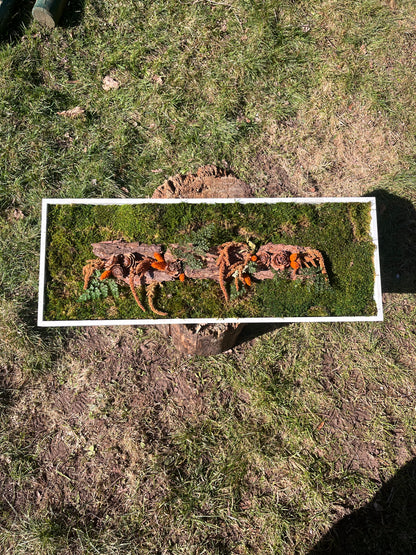 • Cadre végétal orange