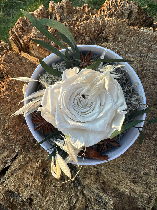 • Boîte à chapeaux blanche