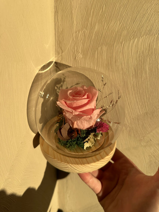• Rose éternelle rose
