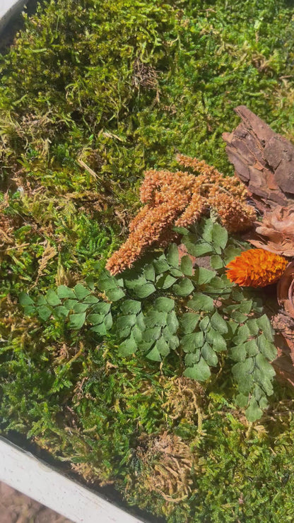 • Cadre végétal orange